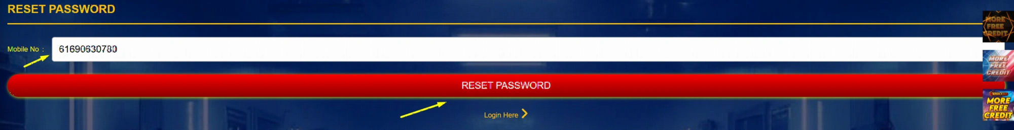 Password recovery interface